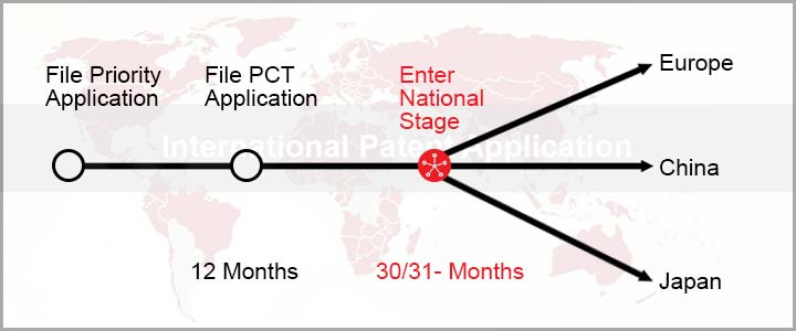 PCT application process