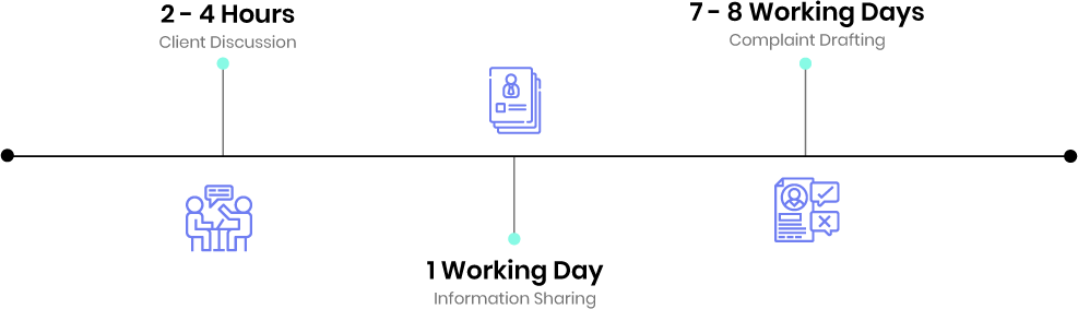 domain name dispute service timeline