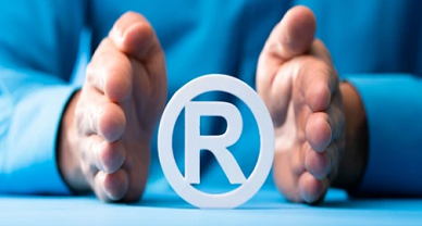 Trademark law