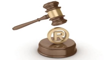 Trademark Litigation