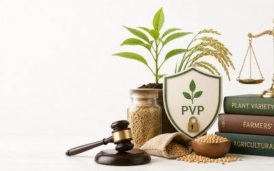 PVP